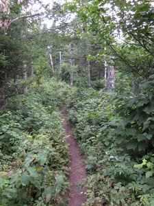 Appalachian Trail 