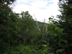 Appalachian Trail 