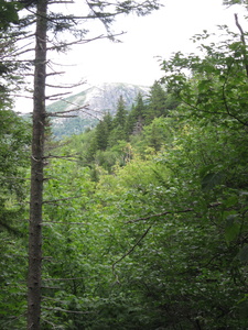 Appalachian Trail 