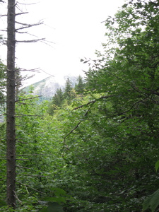 Appalachian Trail 