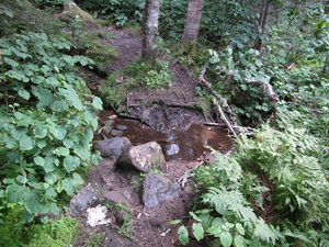 Appalachian Trail 