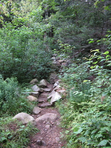 Appalachian Trail 