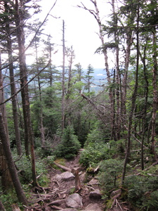 Appalachian Trail 