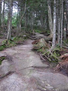 Appalachian Trail 