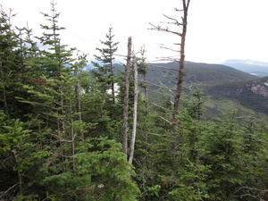 Appalachian Trail 