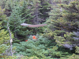 Appalachian Trail My Campsite