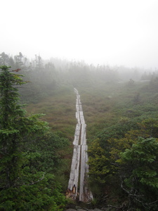 Appalachian Trail 