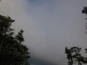 Appalachian Trail Fog