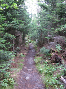 Appalachian Trail 