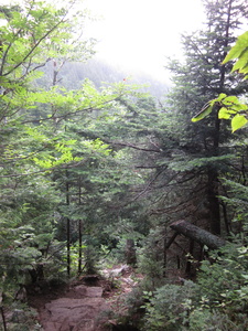 Appalachian Trail 