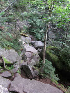 Appalachian Trail 