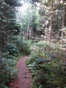 Appalachian Trail 