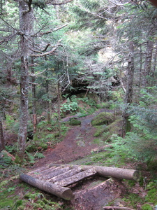 Appalachian Trail Ladder on trail