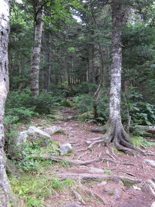 Appalachian Trail 