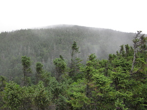 Appalachian Trail 