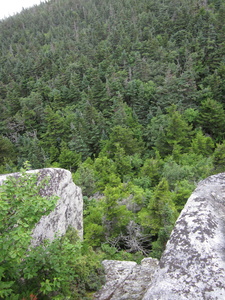 Appalachian Trail 