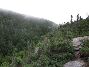 Appalachian Trail 