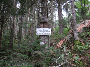 Appalachian Trail Carlo Col Shelter & Trail