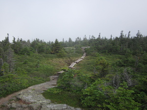 Appalachian Trail 