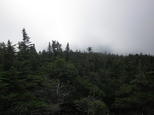 Appalachian Trail 