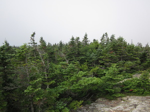 Appalachian Trail 