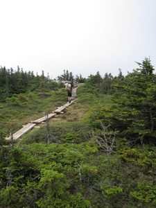 Appalachian Trail Trail Maintenance Worker with HEAVY pack