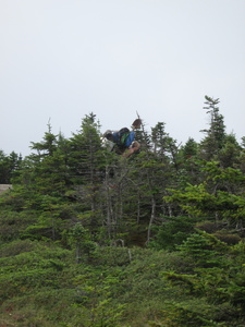 Appalachian Trail Trail Maintenance Worker with HEAVY pack