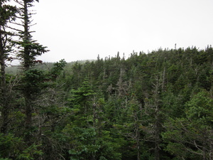 Appalachian Trail 