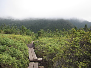 Appalachian Trail 