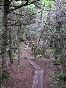 Appalachian Trail 