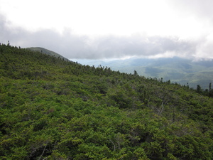 Appalachian Trail 