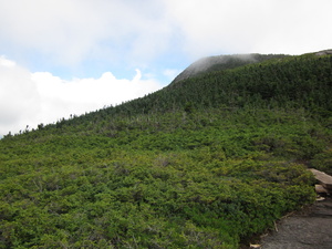 Appalachian Trail 