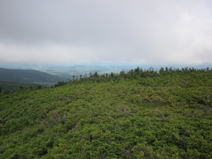 Appalachian Trail 