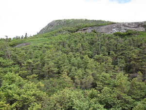 Appalachian Trail 