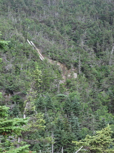 Appalachian Trail Ladder on trail