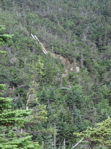 Appalachian Trail Ladder on trail