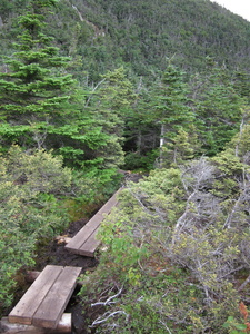 Appalachian Trail 