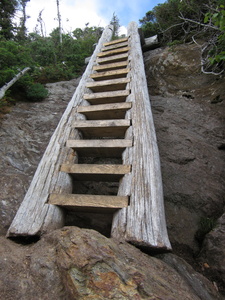 Appalachian Trail Ladder on trail