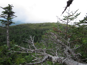 Appalachian Trail 