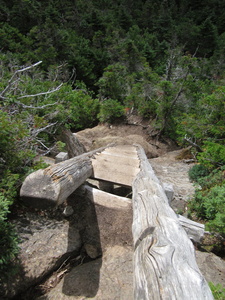 Appalachian Trail Ladder on trail