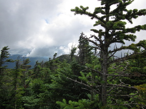 Appalachian Trail 