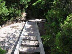 Appalachian Trail Ladder