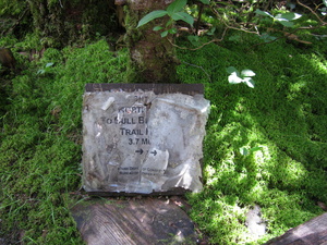 Appalachian Trail To Bull B(ranch?)