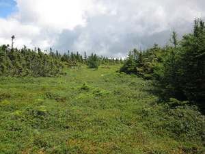 Appalachian Trail 