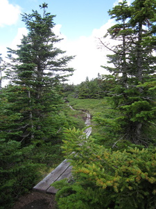 Appalachian Trail 