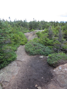 Appalachian Trail 