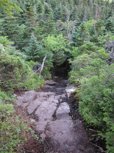 Appalachian Trail 