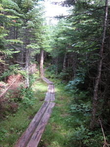 Appalachian Trail 