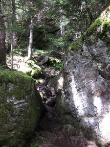 Appalachian Trail 