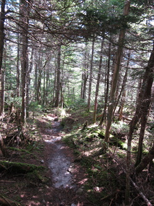 Appalachian Trail 